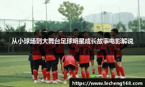 从小球场到大舞台足球明星成长故事电影解说